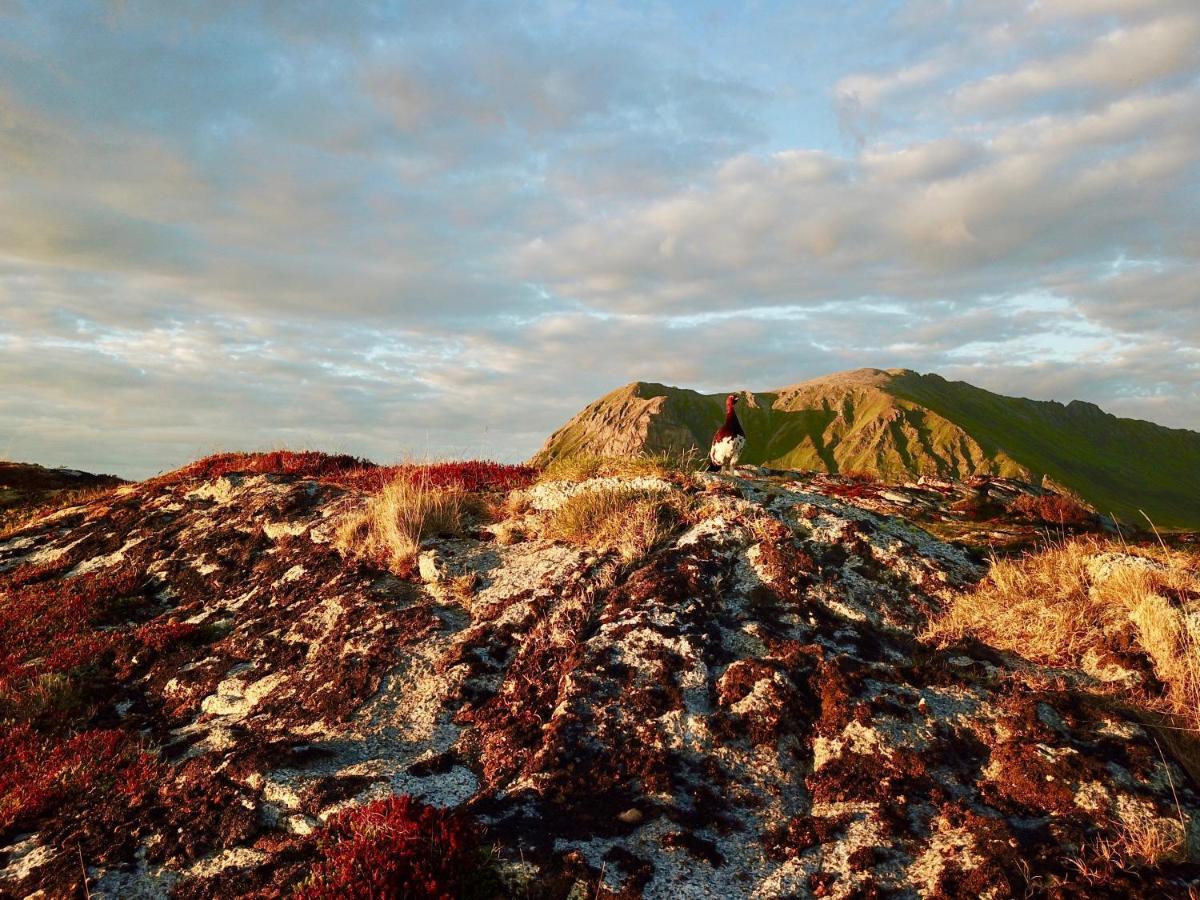 Lofoten Troll View Bostad 外观 照片